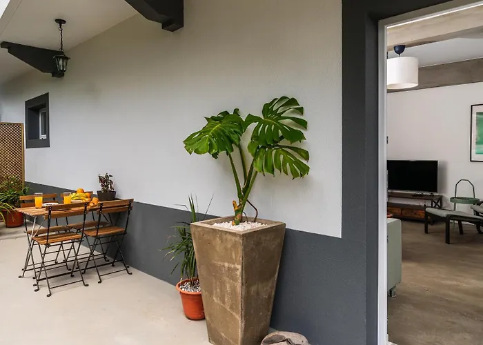 Modern Tropical Hideaway By Lovelystay * Ponta do Sol (Madeira)