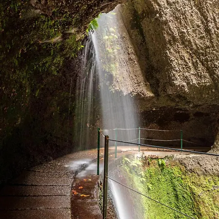 Апартаменты Modern Tropical Hideaway By Lovelystay